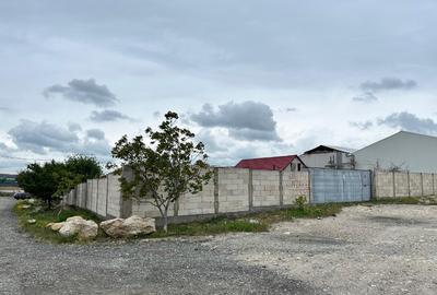 Vand teren intravilan in Lumina vis a vis de Cristi Dezmembrari - 1