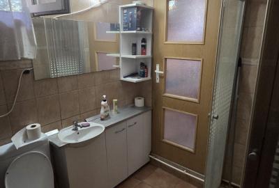 Casă și teren de vânzare – Zona Careiului - 15