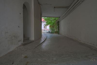 Apartament interbelic cu vedere spectaculoasă, Dionisie Lupu - 32