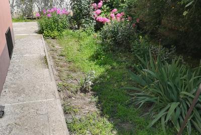 Birou de inchiriat in vila - 13