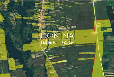 Vânzare teren *17,8 ha - front stradal 40 m.l.* Comuna Runcu - Sat Dobrița - 5