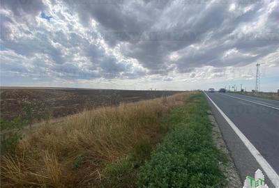 Teren Construcții intravilan de 24250 mp, în Mihail Kogălniceanu