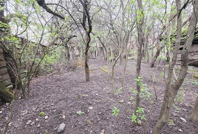 CASA 136 MP TEREN 561 MP FRONT 14 ML ZORILOR  MARINESCU - 8