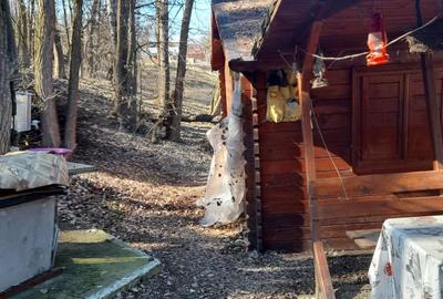 Spre vanzare cabana+ teren intravilan 1050mp pretabil casa de vacanta/locuinta - 7