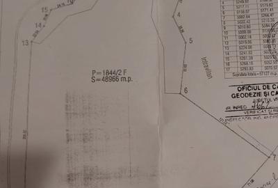 Teren de vanzare Lepsa-Gresu, 57000 mp, cu doar 1 euro/mp - 6