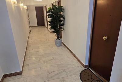 Studio premium  – Rond Charles de Gaulle, Herăstrău, Primăverii, Aviatorilor - 4