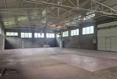 Hala de productie 540mp de închiriat în Borsa pe DN 18 spre Complex - 11