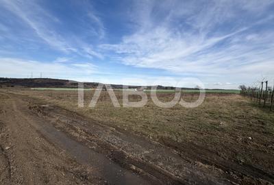 Teren Intravilan 1440 mp cu toate utilitatile Zona Meltea Fagaras - 3