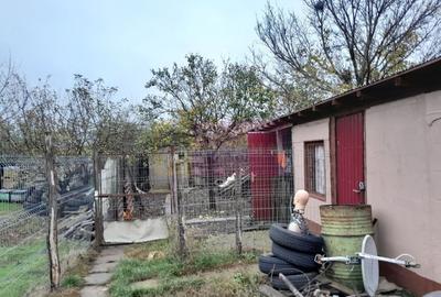 DE VANZARE CASA IN COM. BRANESTI (IF) - 46