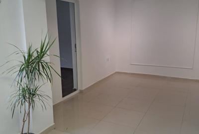 Trocadeo, casa ideal BIROURI, curte - 2
