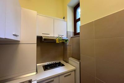 Apartament,  2 Camere, 110 Mp., Etaj 1, Take Ionescu - 9