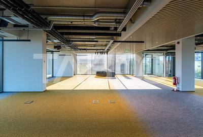 Birouri premium in Sibiu–Spatii flexibile moderne pentru companii - 13