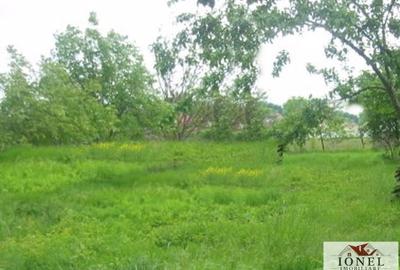 Teren intravilan de vanzare in Vintu de Jos - 1