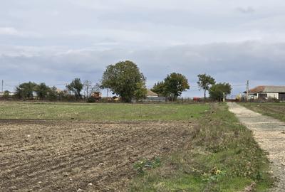 Amzacea- sat G.Scarisoreanu -Ferma zootehnica , 5.1 ha - 8