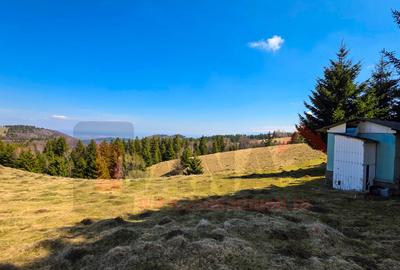 Proprietar | Teren Panoramic+PUZ + Cabana | Drumul Paltinisului |746mp - 14