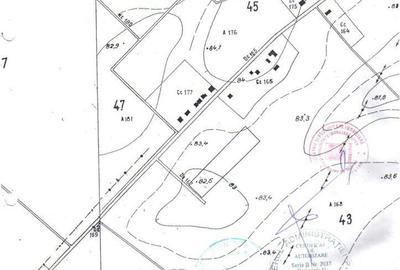 Teren intravilan 10.000 mp | PUZ aprobat 17 loturi | Gagu – Dascălu | 8km DNCB - 8