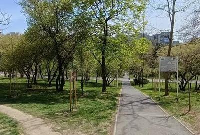 Apartament 2 camere Confort 2 Pantelimon Vedere Parc Morarilor - 11