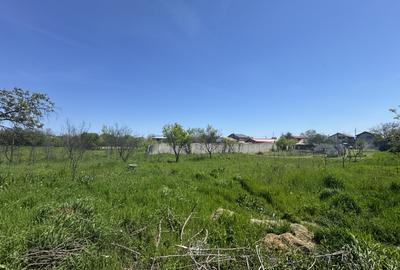 Teren Premium 2775mp Olteni – Utilități complete, la asfalt, potential ridicat - 4