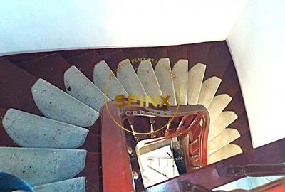 Vanzare zona Armeneasca,Casa eclectica sec XX,curte individuala,3 niveluri 295mp - 12