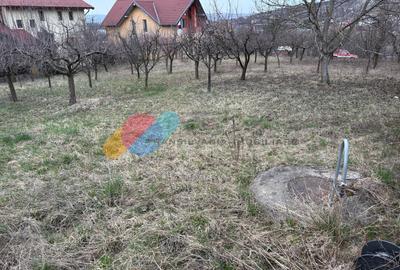 Teren construibil 800mp Borhanci - 3