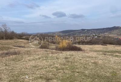 Teren intravilan 11.300mp, Barnova, cu acces auto si front stradal - 2