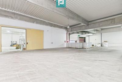 Hală industrială de 4.155 mp Calea Borșului - 9