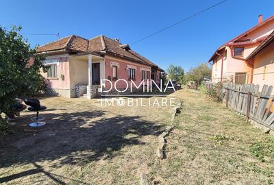 Vanzare casa si teren, posibilitate parcelare, strada Petresti - Primaverii - 7