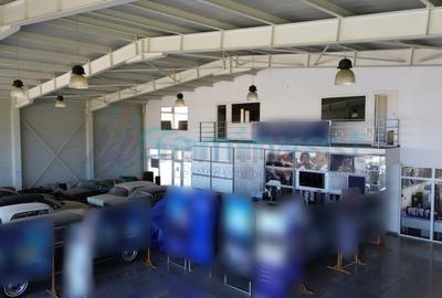 Showroom modern de inchiriat langa Aeroportul International Oradea - 3