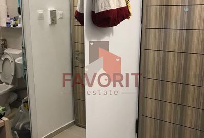 Garsoniera | etaj 1 | mobilat si utilat | zona excelenta - 7