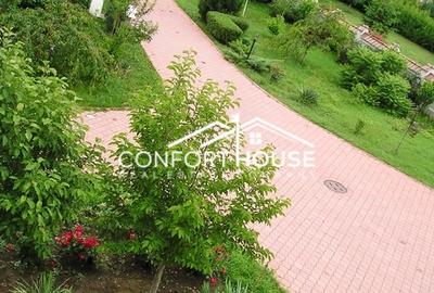 Proprietate impresionanta D+P+M, teren 4781MP, IANCU NICOLAE - 4