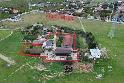 Spatiu industrial Campineanca - 1