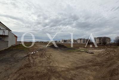 OX708 Teren 974 mp, Buziasului langa Hornbach - 3