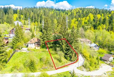 Teren Construibil 930 mp în Predeal – Lângă Pădure și Pârtia Clăbucet - 1