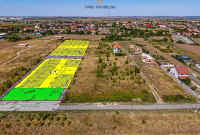 Parcele case cu vedere spre pădure – între Timișoara si Giarmata Vii - 3