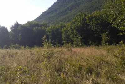 Roscani-Dobra-Teren Cabana-10km A1-Posibilitate Rate - 3