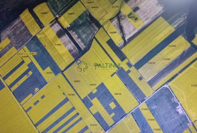 Teren de vânzare în Calea Cisnădiei, Sibiu – 550 mp, PUZ aprobat, vedere superbă - 6