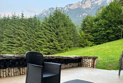 Vila la munte Brasov-Zarnesti, Piatra Craiului, Plaiul Foii, Gym, sauna, jacuzzi - 4