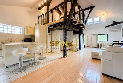 Vanzare zona Armeneasca,Casa eclectica sec XX,curte individuala,3 niveluri 295mp - 21