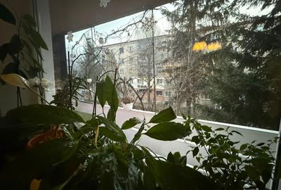 Apartament 2 camere –etaj 1-zona Piata Centrala - 11