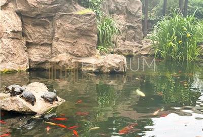 Apartament 2 camere de inchiriat North Area Lake View - 41