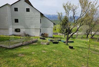 Casa de vacanță, pretabilă pentru pensiune în Moieciu - 1