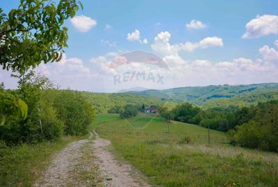 De vânzare casă cu teren și pădure 55706 mp - Șinteu, Valea Târnei - 19