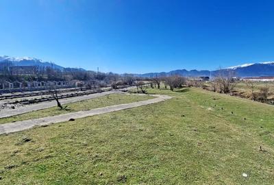 Teren intravilan industrial de vânzare – Râșnov, zona Romacril - 3