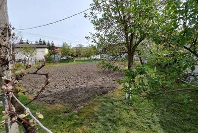 Casa cu teren în Reghin - 10