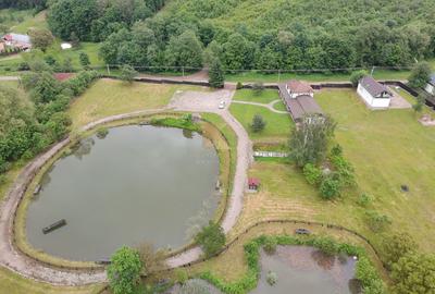 Complex turistic și proprietate deosebită de vânzare în Valea Dobârlău - 4