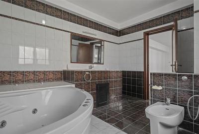 CASA DE VANZARE IN ZONA FLOREASCA-RAHMANINOV (D+P+1+M) - 22