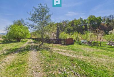 Casă Câmpani, 8000 mp teren, la poalele Apusenilor - 14
