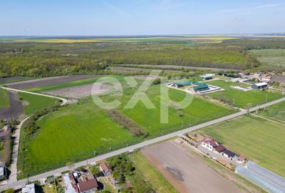 Black Angus Farm with authorized Slaughterhouse - 4