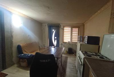 Casă renovabilă cu livadă 3000 mp | Utilități | Tibru, Alba - 2