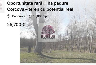 Oportunitate rară! 1 ha pădure Corcova – teren cu potențial real - 1